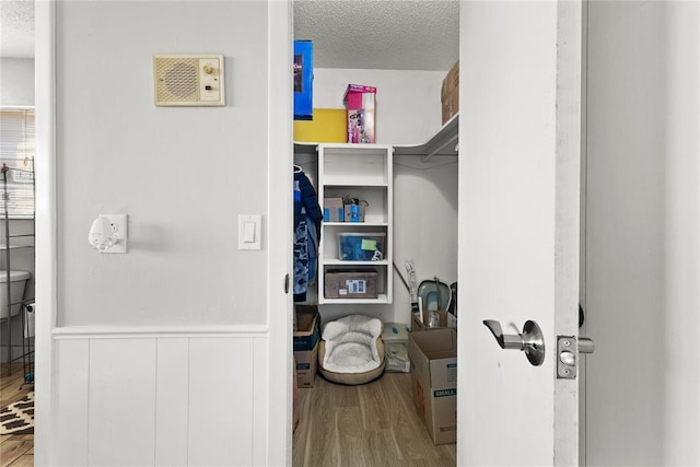 walk in closet featuring wood-type flooring