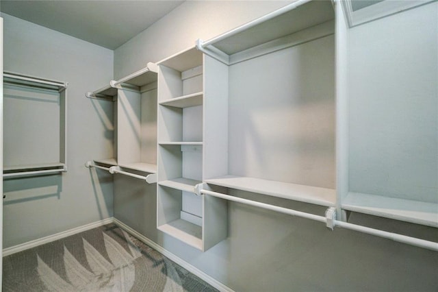 spacious closet with carpet flooring