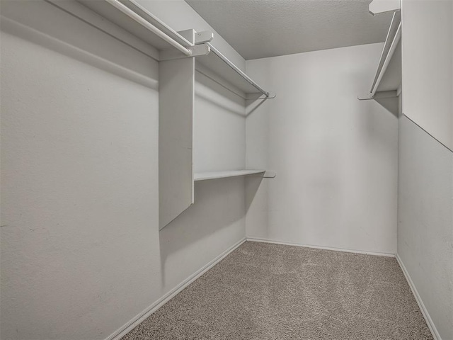 walk in closet with carpet