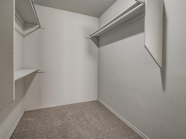 spacious closet featuring carpet floors