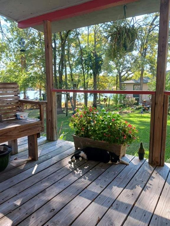 deck featuring a lawn