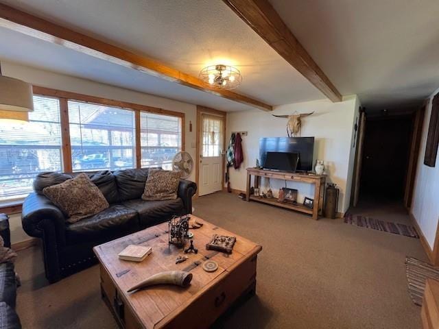 carpeted living room with beam ceiling and a wealth of natural light