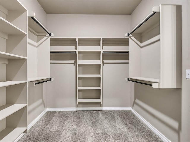 spacious closet featuring carpet