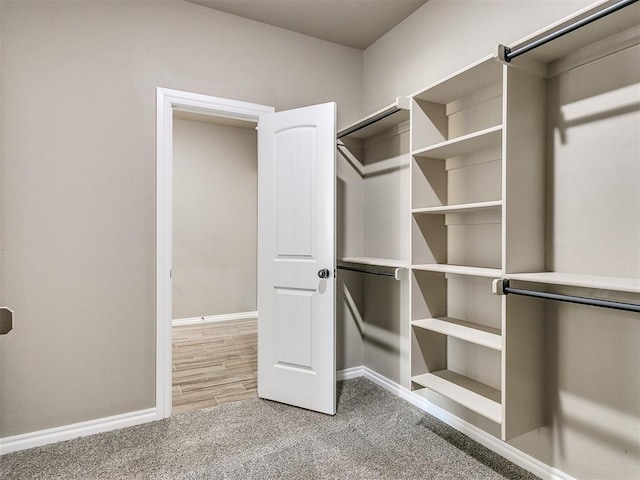 spacious closet with carpet floors