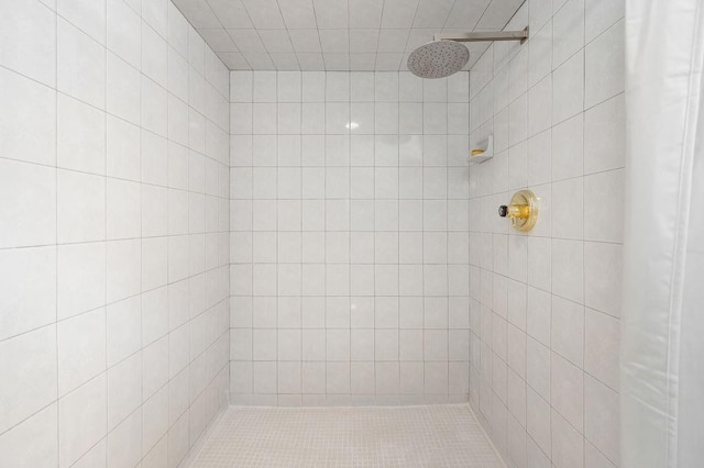 bathroom featuring walk in shower