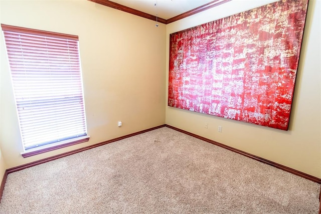 carpeted empty room with crown molding