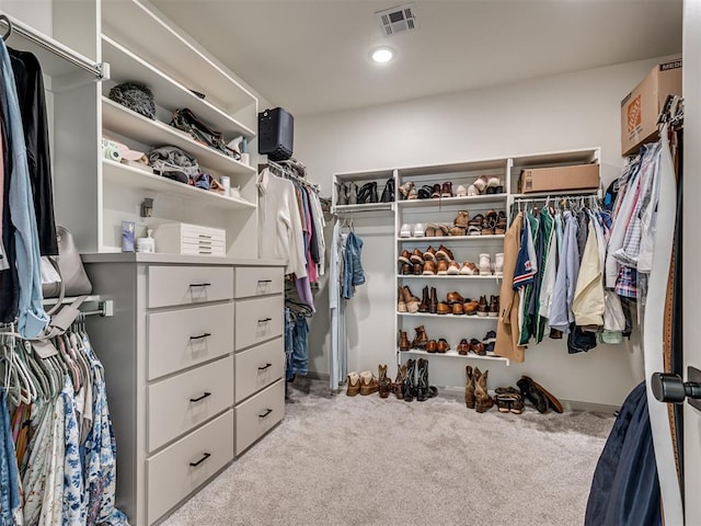 spacious closet with light carpet