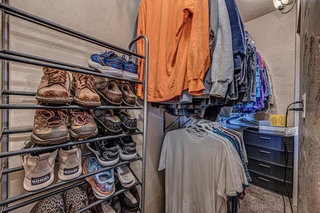view of spacious closet