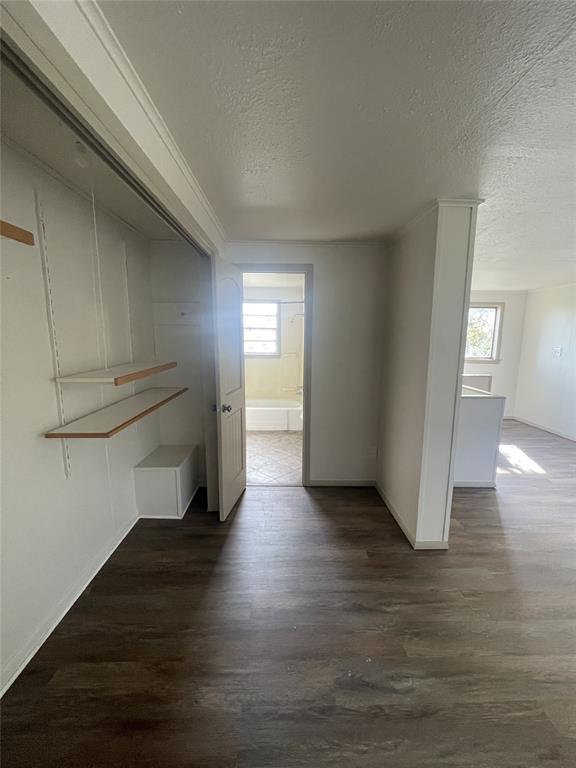 hall with a textured ceiling, dark wood-type flooring, and a healthy amount of sunlight