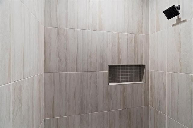 room details with tiled shower