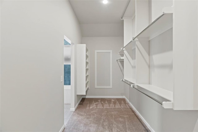 spacious closet featuring carpet