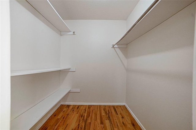 spacious closet with wood-type flooring