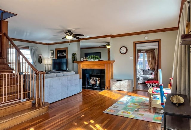 living room with a tiled fireplace, hardwood / wood-style floors, ornamental molding, and ceiling fan