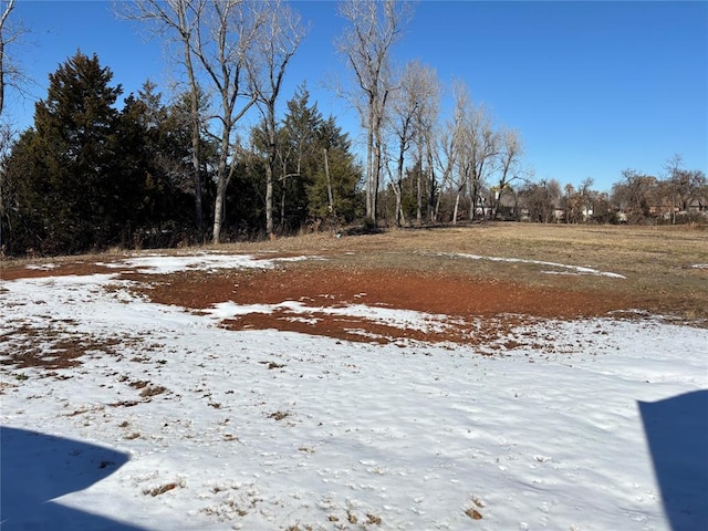 view of yard covered in snow