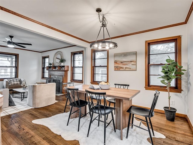 dining room with a healthy amount of sunlight, crown molding, ceiling fan, and light hardwood / wood-style floors