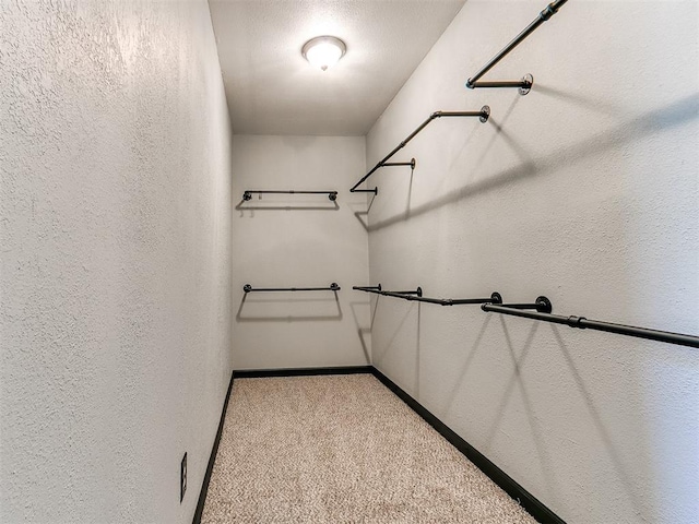 walk in closet with light colored carpet