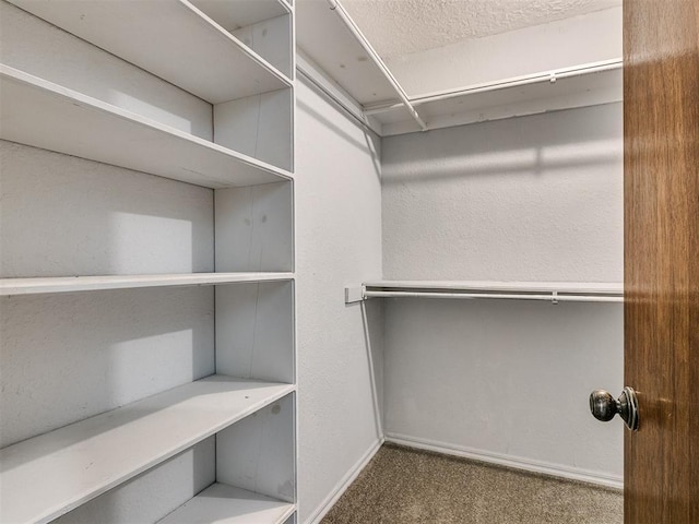 spacious closet with carpet