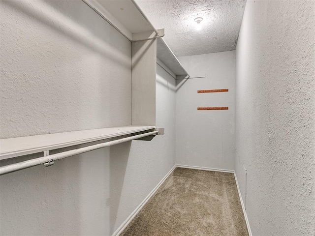 walk in closet featuring light carpet