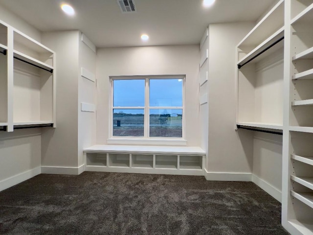 walk in closet with dark carpet and visible vents