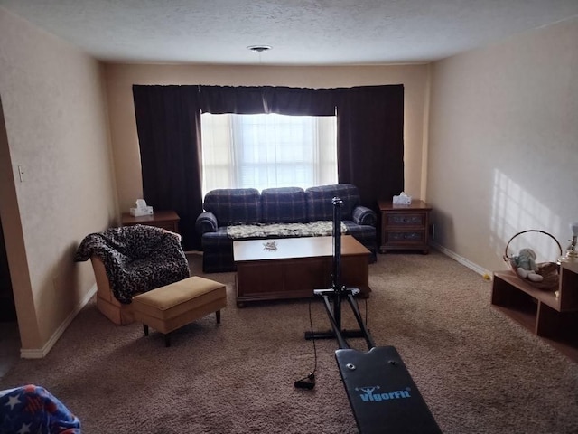 living area with carpet floors and a textured ceiling