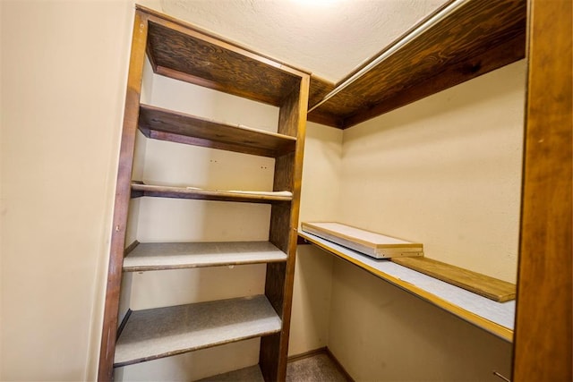 spacious closet with carpet flooring