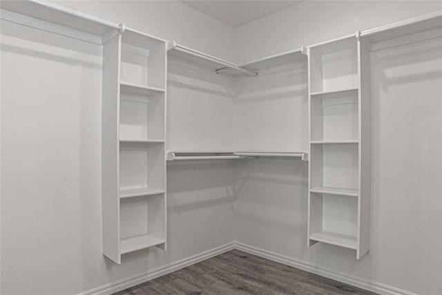 spacious closet featuring dark wood-style flooring