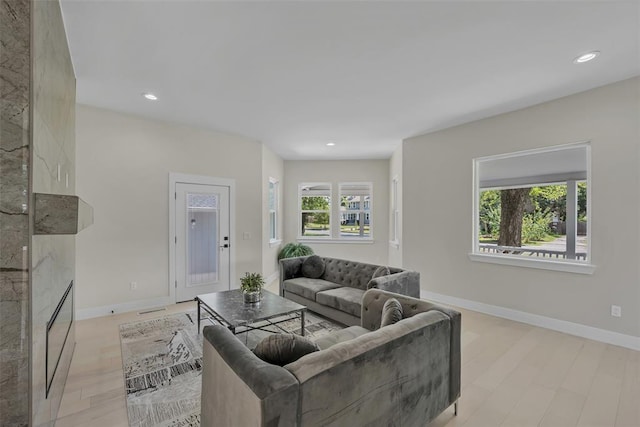 living room featuring light hardwood / wood-style floors and a premium fireplace