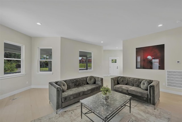 living room with light wood-type flooring and a wealth of natural light