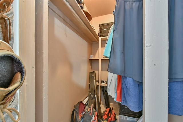 view of walk in closet