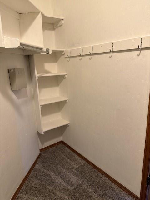 spacious closet featuring dark colored carpet