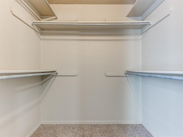 spacious closet featuring carpet floors