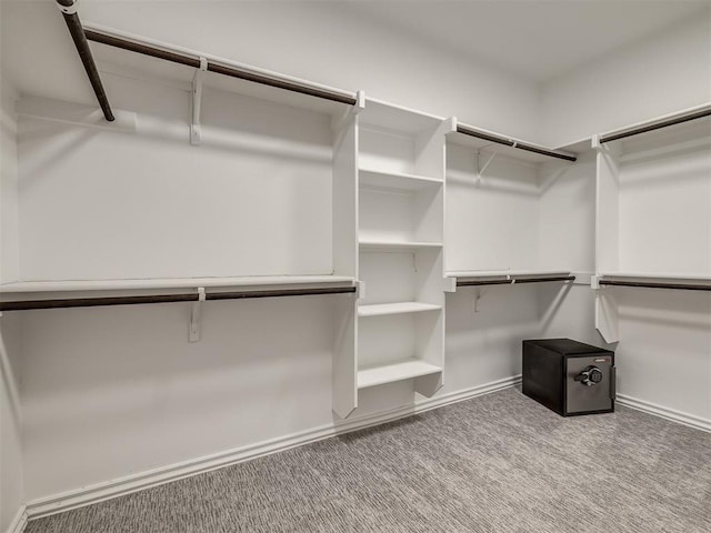 spacious closet featuring carpet floors