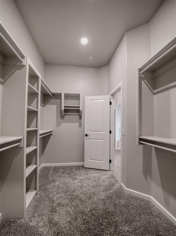 walk in closet featuring carpet floors