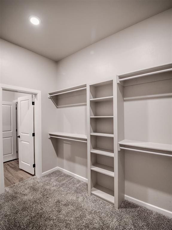 spacious closet with carpet