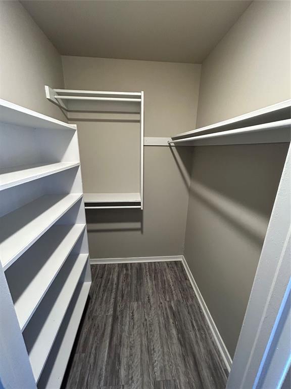 spacious closet featuring dark wood-type flooring