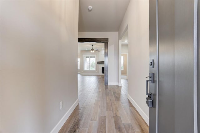 corridor featuring light hardwood / wood-style floors