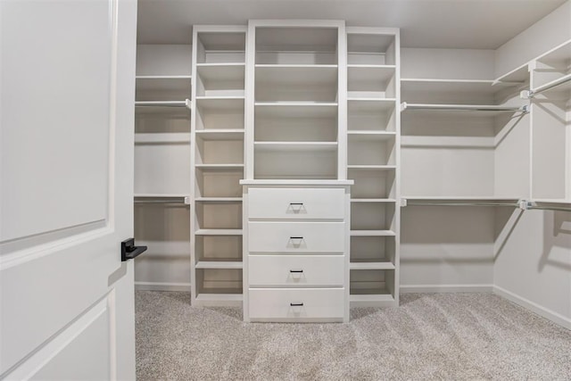 walk in closet with light carpet