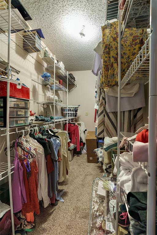 spacious closet with carpet flooring