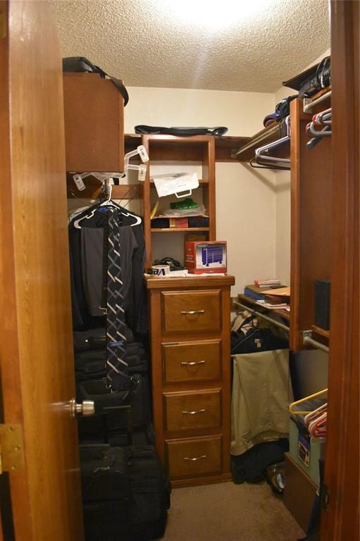 spacious closet with carpet