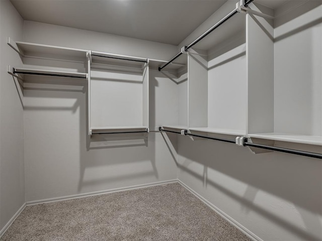 spacious closet with carpet