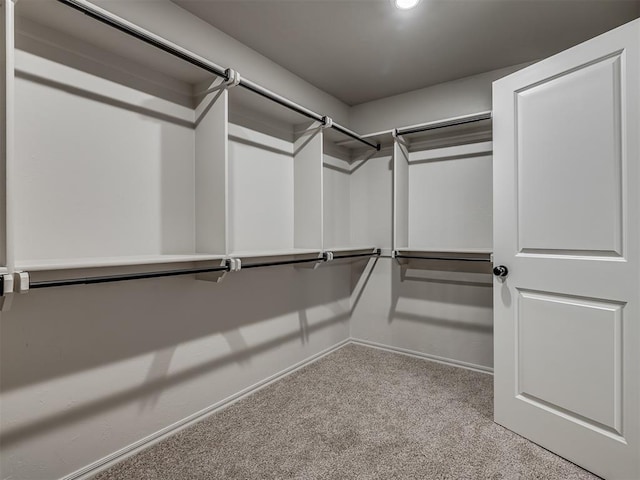 spacious closet featuring light carpet