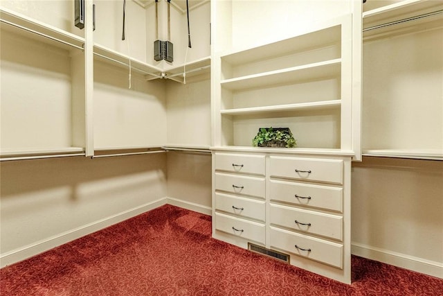 spacious closet with carpet floors