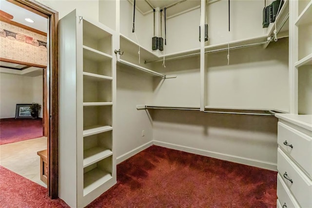 walk in closet featuring carpet flooring