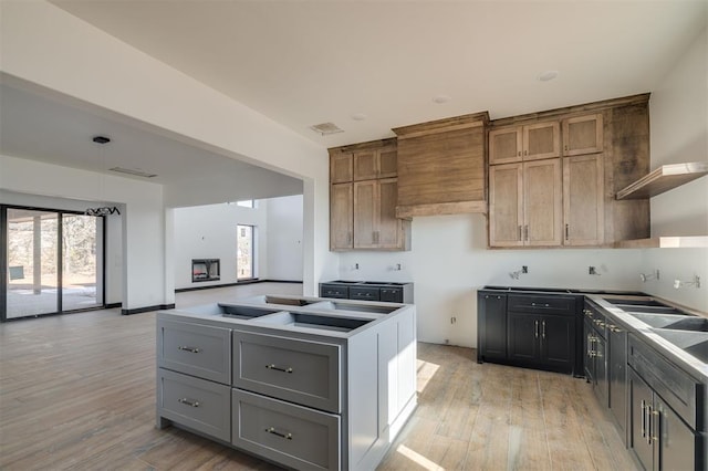 kitchen with gray cabinetry, a healthy amount of sunlight, and light hardwood / wood-style floors