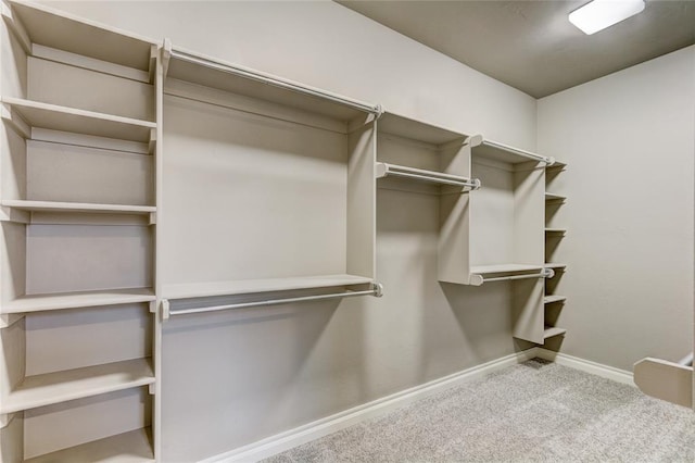 walk in closet featuring carpet