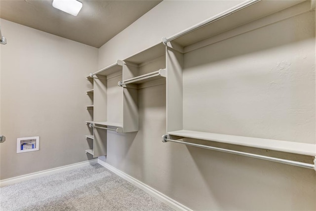 spacious closet with carpet floors