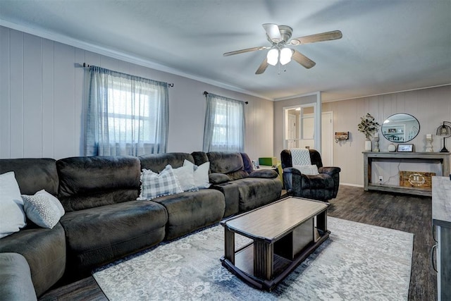 living room with dark wood-type flooring, ceiling fan, crown molding, and wood walls