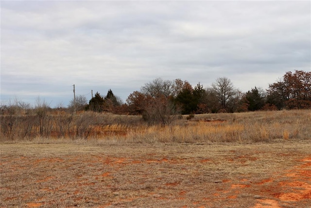 view of local wilderness