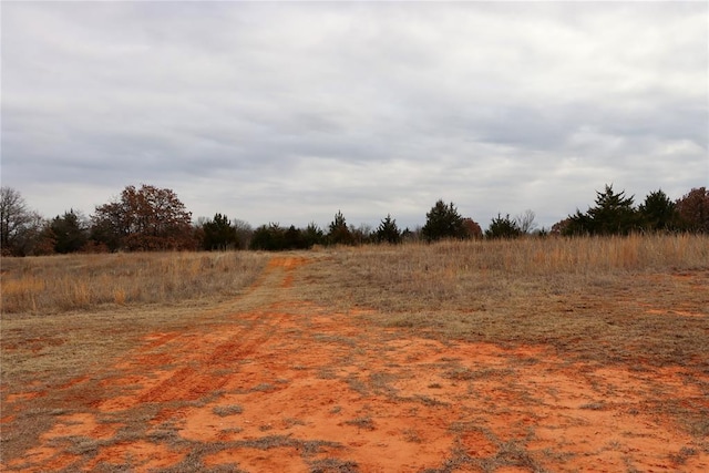 view of nature featuring a rural view