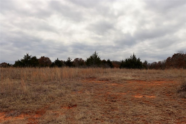 view of local wilderness with a rural view